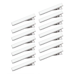 Hair Clip